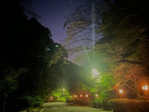 �G���g�����X�܂ł̓��͐X�̃Q�[�g�ɁB��̓��C�g�A�b�v