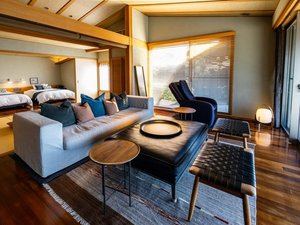 ��̂P�q�����