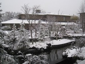 ―――――箱根翡翠全景(冬)―――――