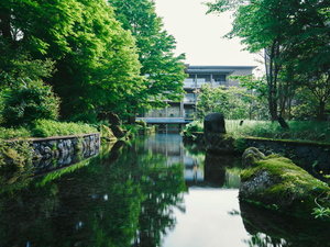 庭園を流れる清々しい水面に映える和の趣と佇まい