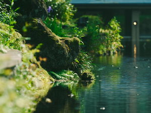 池と滝がつくりあげる清々しい水景、そこには寛ぎの贅を尽くした至福の時が待っています