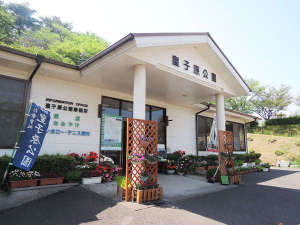 【宮崎県の貸し別荘・コテージ・ログハウス】皇子原公園