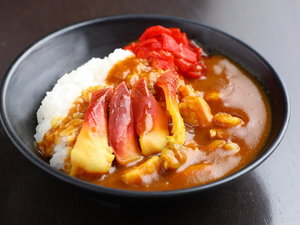 北海カレー