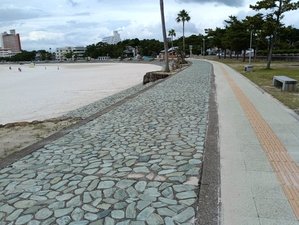 白良浜の遊歩道でお散歩が出来るようになりました(^^)/