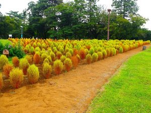 �y���ق���k����15���z�a�����ь���