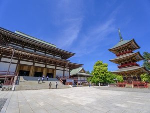 近隣観光施設:成田山新勝寺(車で約15分)