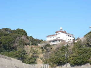 ����V�[�T�C�h�n�C�c�@���葑�̎ʐ^