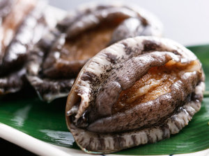 �ʔN�E�A���r�͓��Ă��ŁB