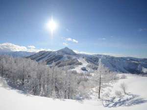 q юm̓ qze̎{ݎʐ^1