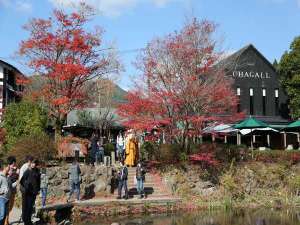 紅葉が美しい秋の金鱗湖
