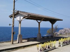 ywzBeX|bgƂĐlCAx͍~Ă݂lwBԂŖ30