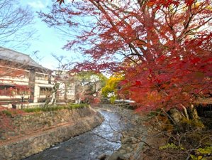 修善寺温泉の紅葉:当館から修善寺温泉まで車で約30分。