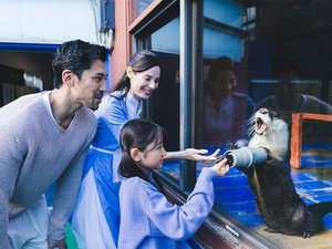 �ɐ��v�w��ӂꂠ�������� �ɐ��V�[�p���_�C�X