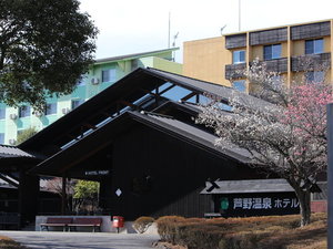 【春の訪れ】3月上旬には梅が咲き誇り、うぐいすが元気に飛び回るようになります。