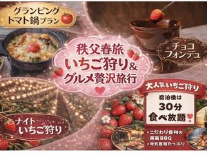 ����Ɛ����̐X�O�����s���OIRODORI�̎ʐ^