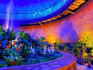 ライトアップされたエントランス