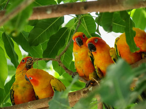 掛川花鳥園まで約35分