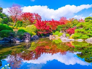 �y���ق���d�ԂŖ�35���z���z�̓�������L��Ȍ����B���R����������{�뉀������u�����L�O�����v