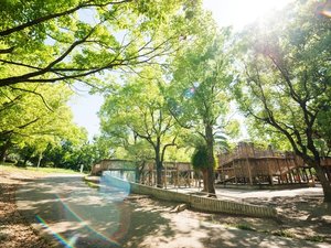 �y���ق���k����5���z�s��̐^�񒆂ɂ���ΖL���Ȍe���̏�u�]������v