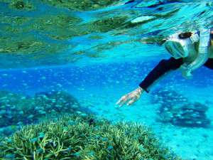 �y�Ղ����ʂ��܁z�X�m�[�P�����O�@