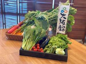 【大阪産】料理長が選出した季節のお野菜
