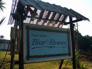 悤IIOcean Garden Blue Heavenցc
