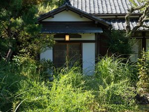 EXP. Co-Onsen 誐̎{ݎʐ^1