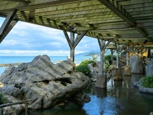 �y���w�l�̓��z�u�D�v�Y��ȓ��{�C�Ɖ���̌i�F����̂ƂȂ����I�V���C�ł��B