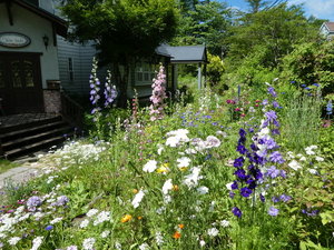 �y���V�����@�V�����̎{�ݎʐ^1