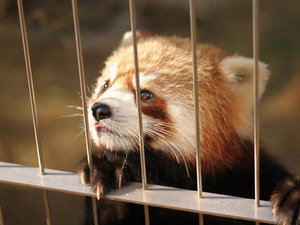徳山動物園