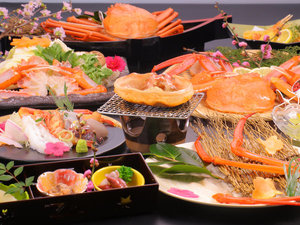 �����Ɩ؂���т̏h�E�ӂ����̎{�ݎʐ^1