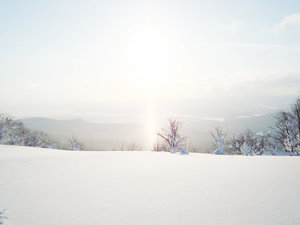 【雪質日本一のパウダースノー】極寒ピヤシリのシルキースノーをご堪能下さいませ!雪質レベル最強です!