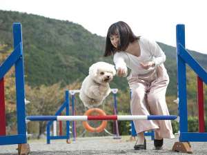 松阪わんわんパラダイス 森のホテルスメール