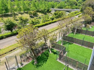 1F�̂������͑S�ăv���C�x�[�g�h�b�O�����t���ł��I