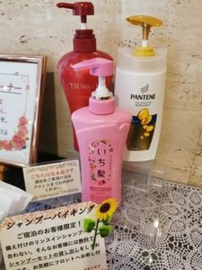 シャンプーバイキング。