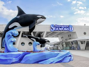 ����V�[���[���h�^�����A�[�P�[�h