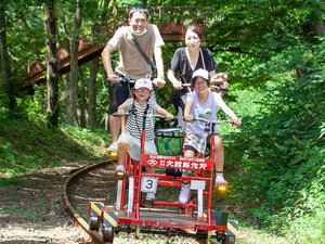 涼しい森林を駆け抜ける「大館小坂鉄道レールバイク」ホテルより車で40分