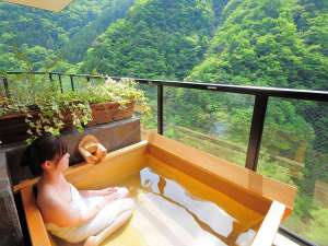 渓谷の隠れ宿　祖谷美人