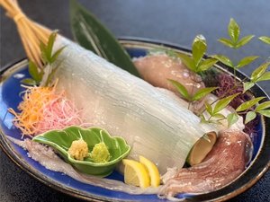 【夕食/夏】日本海で獲れた白いかを鮮度の高い状態で迅速に旨味を閉じ込めるよう船上にて活け〆/一例