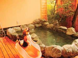 ペット連れ専用の宿 アニマーレ