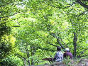 �������΂𒭂߂Ȃ���E�E�E�E�I