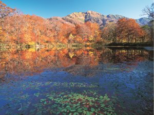 【刈込池】泰澄大師の伝説から、名づけられた池です。