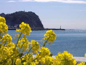 春の内浦海岸