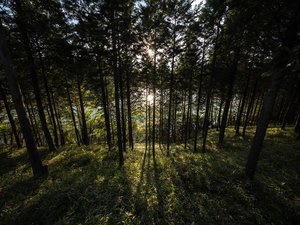 �ؘR������������ގU����