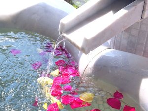 湾岸スパリゾート