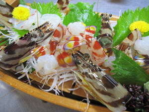 【三重県:志摩】料理旅館 丸寅