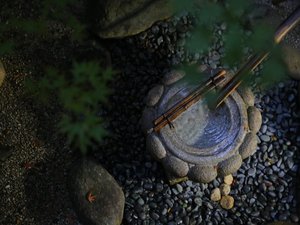 緑に包まれた手水鉢