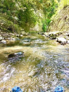 川です。夏になると川遊びできます。