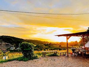 ・天気が良ければ、綺麗な夕焼けを望むことができます