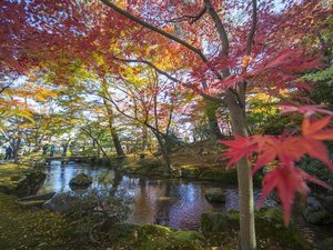 兼六園(写真提供:金沢市)